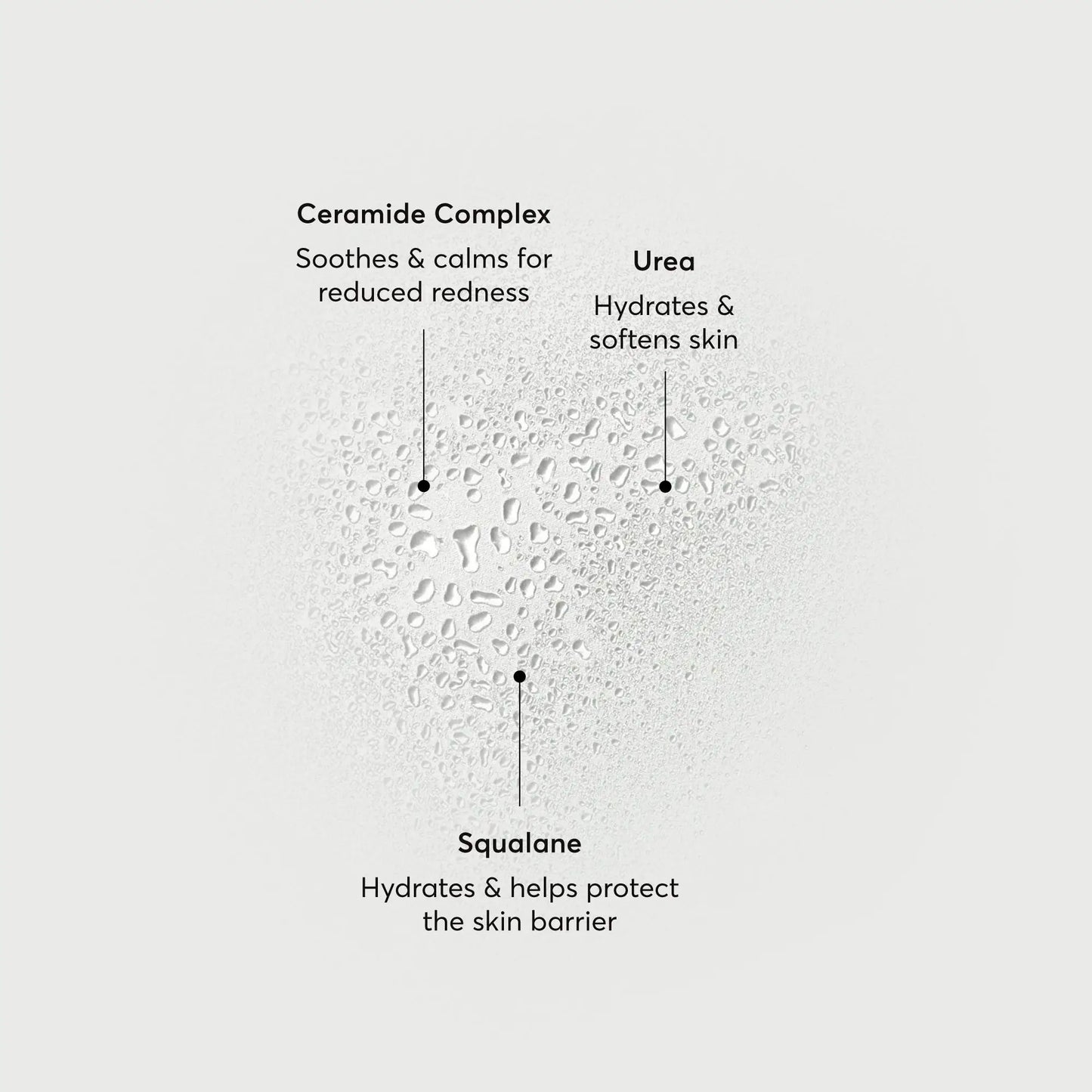 barrier-bounce-bi-phase-mist-o4 NATR-10167-Alt-Images-Barrier-Bounce-Bi-Phase-Toner-Mist_01.webp