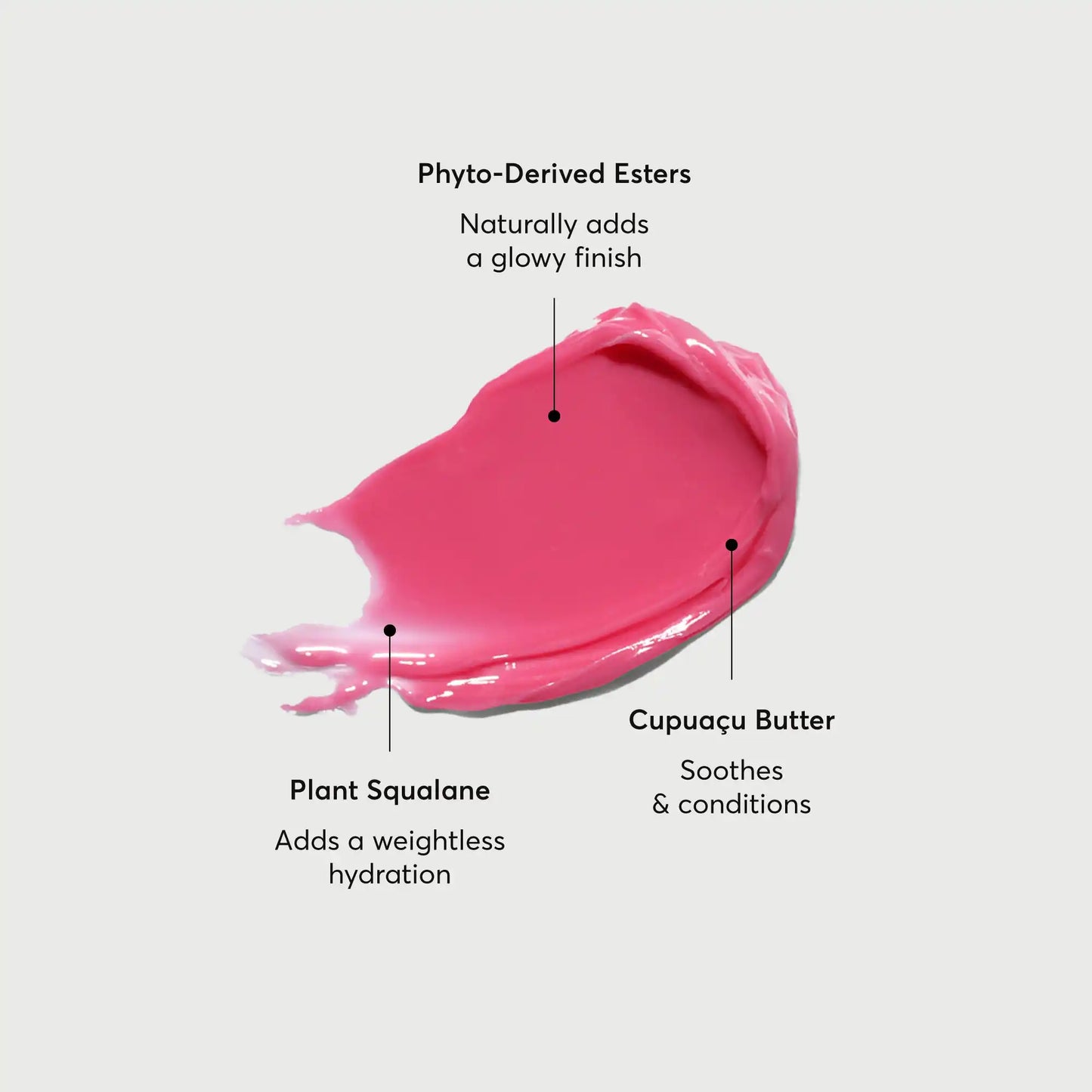phyto-glow-lip-balm-camellia-t4 NATR-60075-Alt-Images-Phyto-Glow-Lip-Balm-Camellia-01.webp